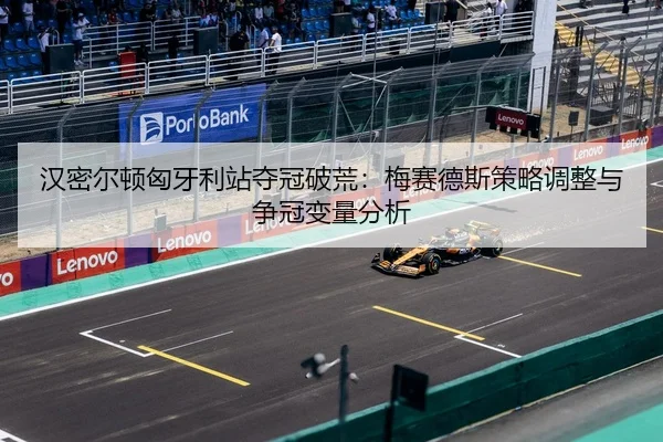 han-mi-er-dun-xiong-ya-li-zhan-duo-guan-po-huang-mei-sai-de-si-ce-lve-tiao-zheng-yu-zheng-guan-bian-liang-fen-xi-3-271.jpg